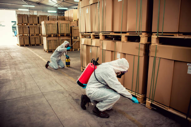 Best Pest Prevention Services  in La Vista, NE