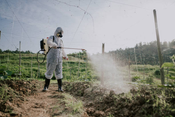 Best Best Pest Control Companies  in La Vista, NE