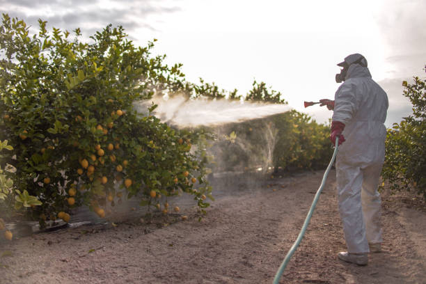 Best Flea Control Services  in La Vista, NE