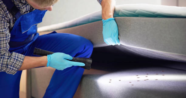 Best Pest Removal Services  in La Vista, NE