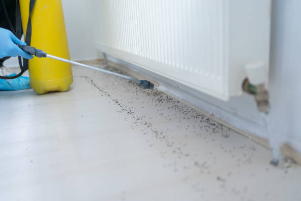 Reliable La Vista, NE Pest Control Solutions