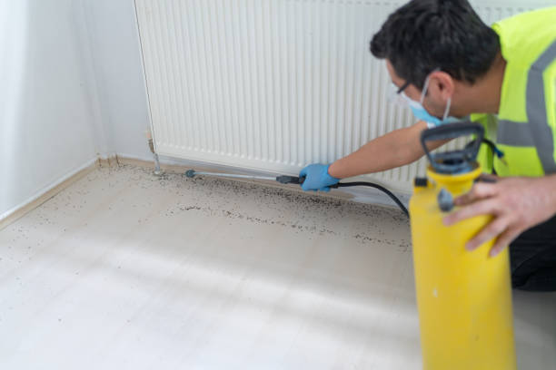 Best Pest Prevention Services  in La Vista, NE
