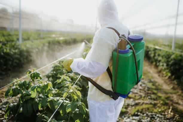 Best Pest Control Near Me  in La Vista, NE